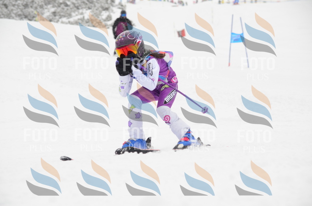 C0608 | holidayphoto