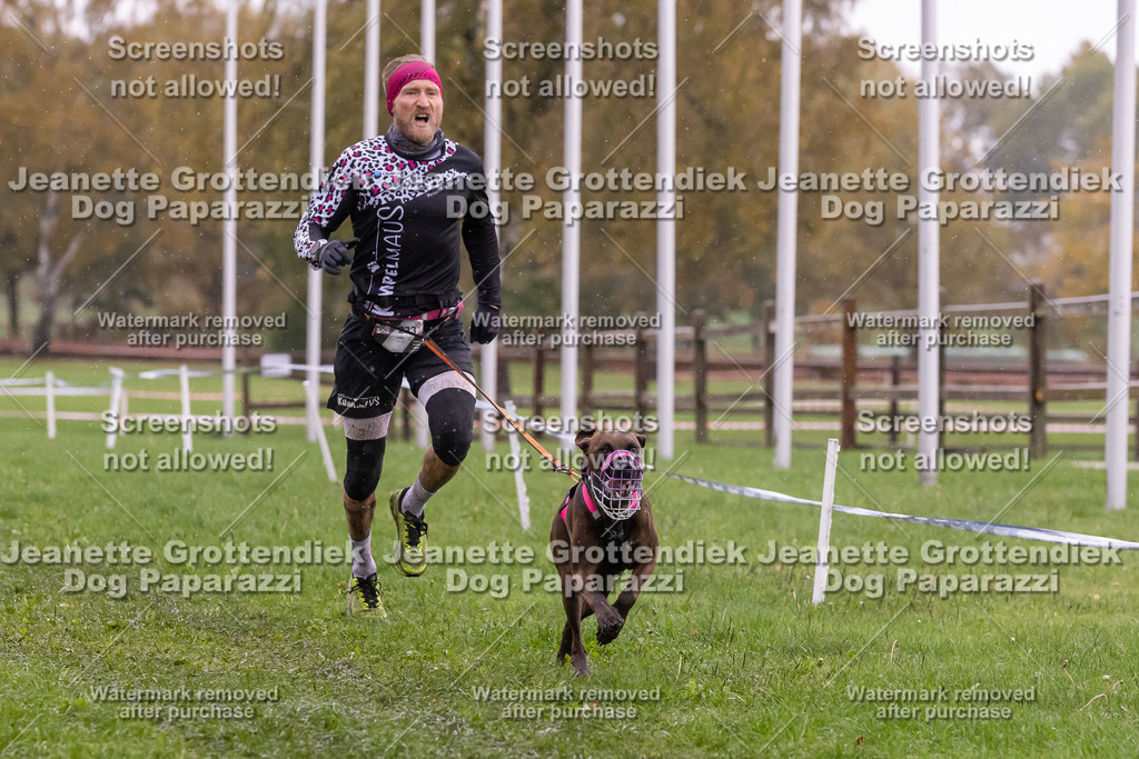 Dog Paparazzi - SD CaniX Championship 2025-958 | Dog Paparazzi Jeanette Grottendiek Fotografie & Videografie - Realisiert mit Pictrs.com