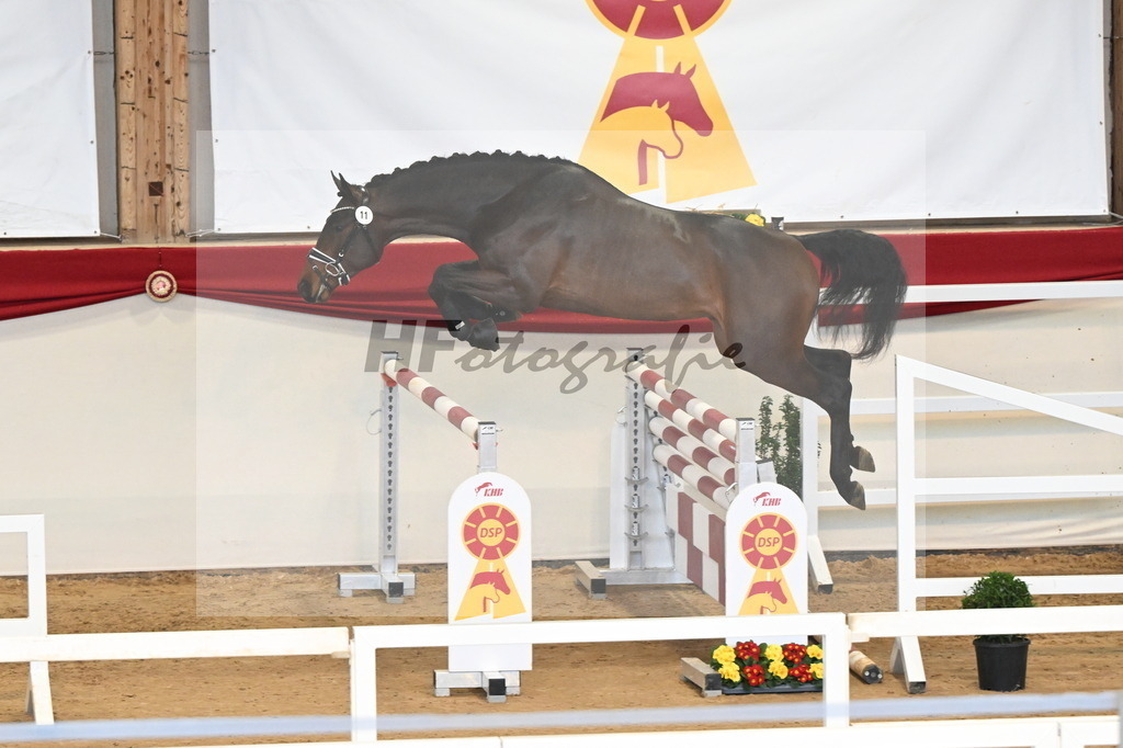 Kat.-Nr. 11 v. Conthargos_Schlamminger_3261573 | hf-fotografie - Realisiert mit Pictrs.com