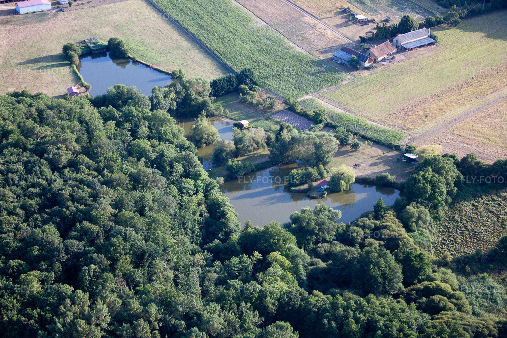 Vue aérienne: Vue de la ville à Dollon dans le département Sarthe, France. Photo: IMG_19926.jpg prise le 28/07/2009 par Werner Riehm/FLY-FOTO.eu – Résolution de l'original: 4752 x 3168 px