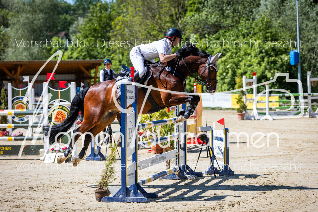 Donop24-M-Spr-001 | MomenTaufnahmen Pferdesportfotos