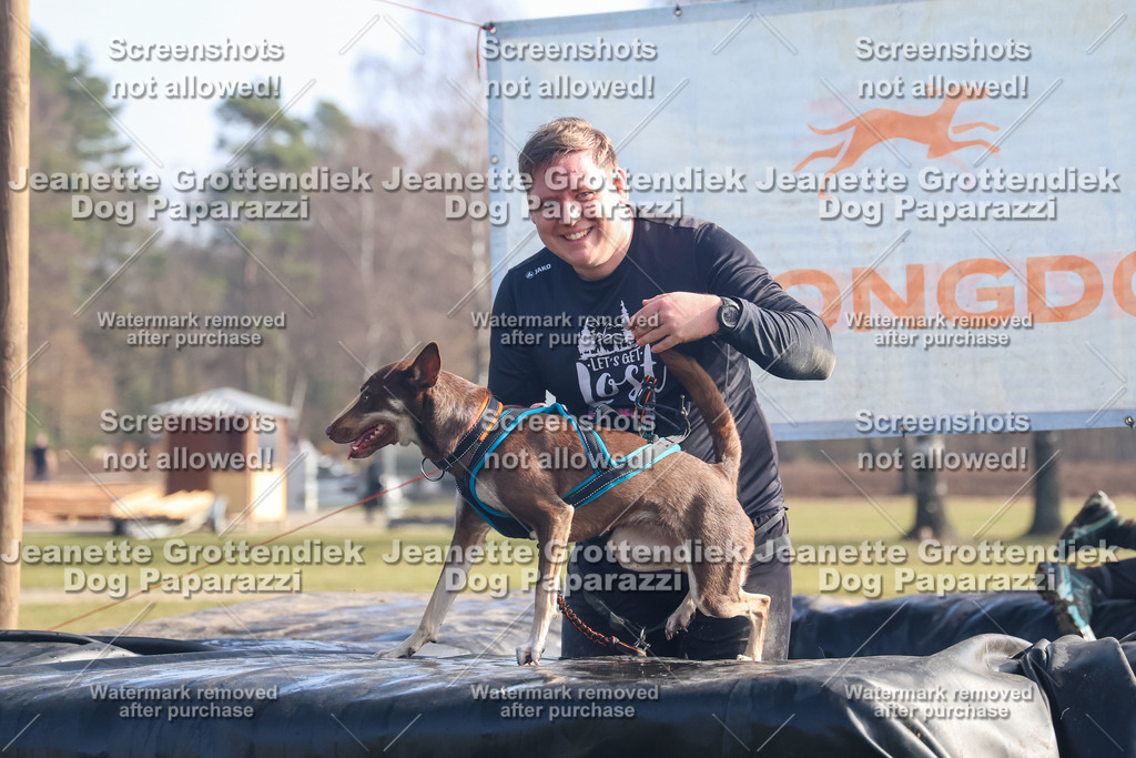 Dog Paparazzi - Strongdog North Mrz26-858 | Dog Paparazzi Jeanette Grottendiek Fotografie & Videografie - Realisiert mit Pictrs.com