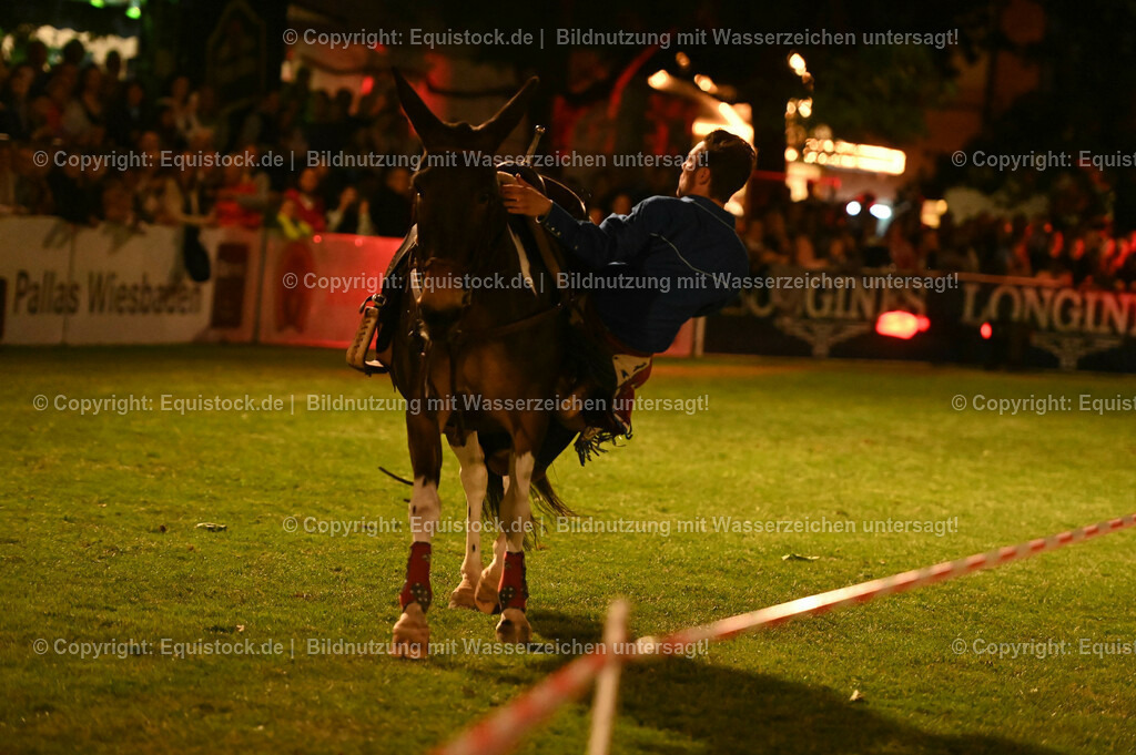 20230526_Pferdenacht_1217 | equistock