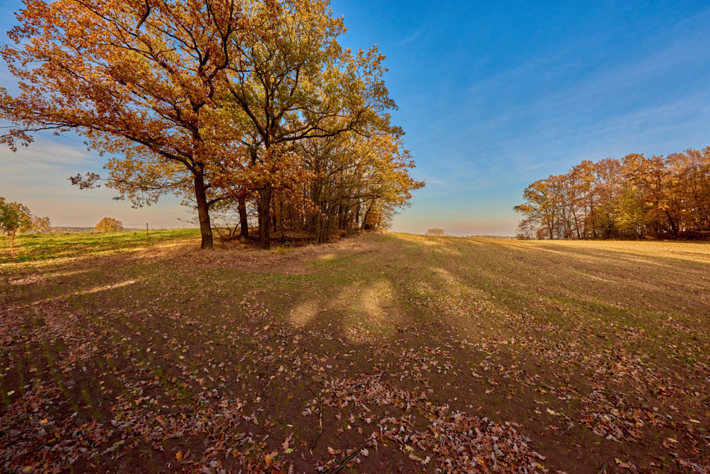Kleinkuppenlandschaft südlich von Bärwalde | Fotos als Raumschmuck - Realisiert mit Pictrs.com