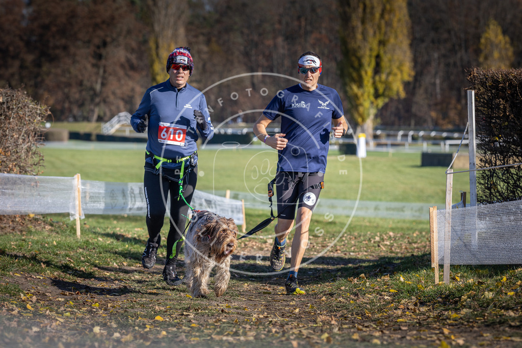 CaniXpix_DV3A9715 | Hundefotografie, Tierfotograf, Pfotenfotografie, Fotoshooting Hund, Hunde Portrait, Hundesport, Hundeportraits, Heideshooting, Hunde, Sportfotograf, Hundefotograf, Turnierhundsport, THS,  - Realisiert mit Pictrs.com