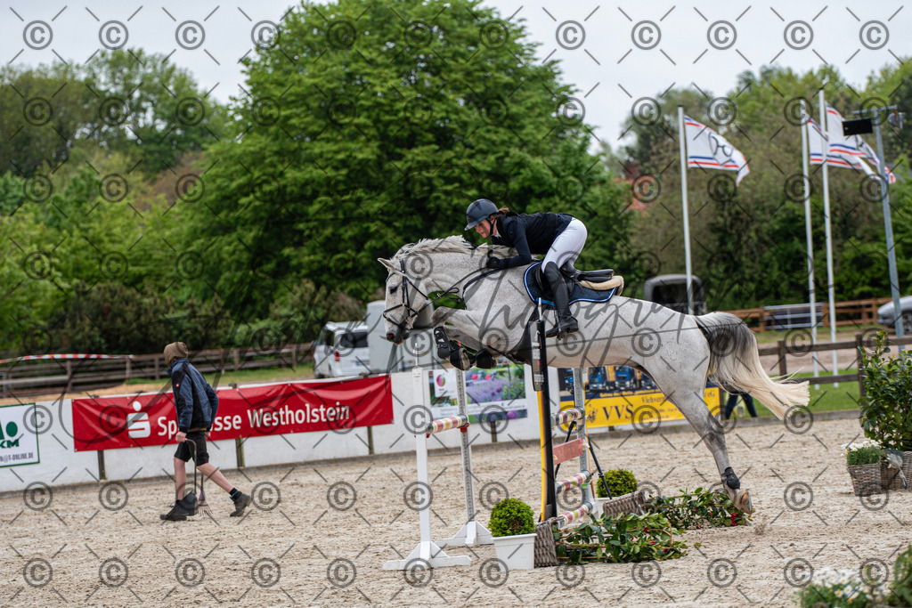 KPT_8598 | andre_photographic