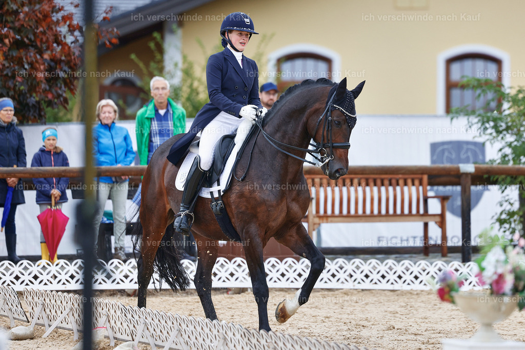 8_2-056-DRESSUR S_  -StoibPH-4420 | working equitationturnier fotograf videograf stoibphotography marixx film working equitation deutschland reitsport turnierfotografie eventfotografie equestrian events