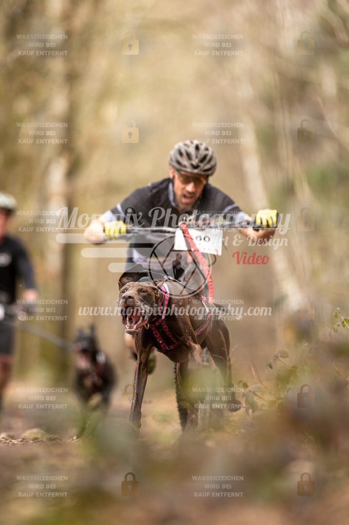 SPA_2023_SAM_Scooter-18 | PayLife