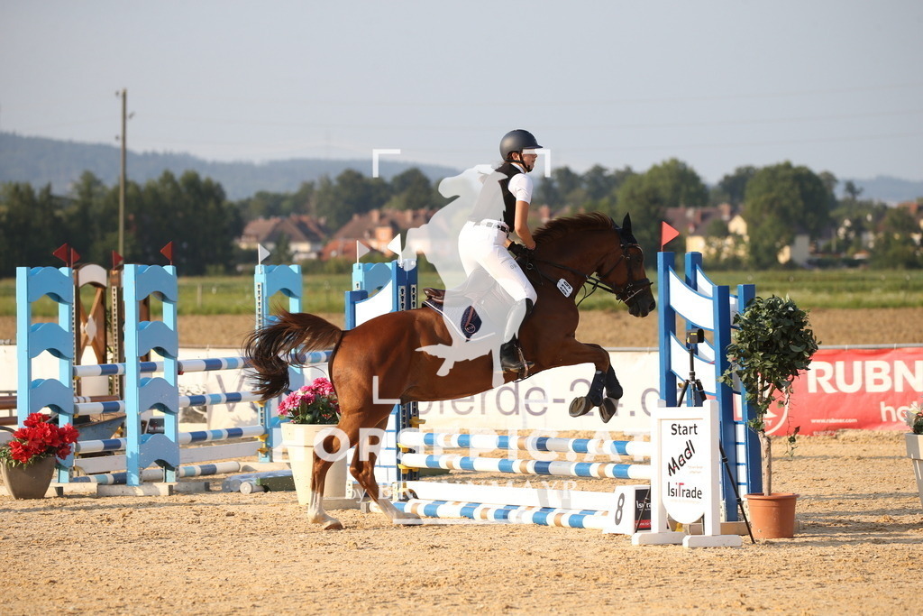 DL2Q2442 | Willkommen bei Brunnmayr - Design & Fotografie – Ihrem Spezialisten für Reitturniere und Pferdeveranstaltungen in Oberösterreich, Salzburg und Bayern! Seit über 17 Jahren sind wir leidenschaftlich dabei.