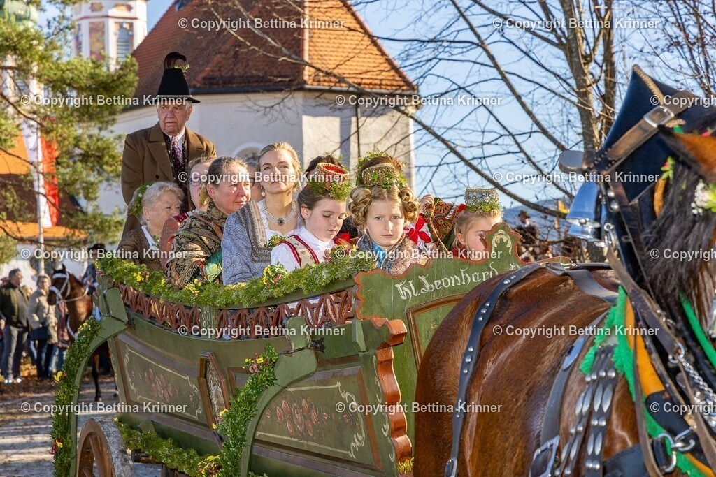 LBT25-1382 | foto-bettina-krinner - Realisiert mit Pictrs.com