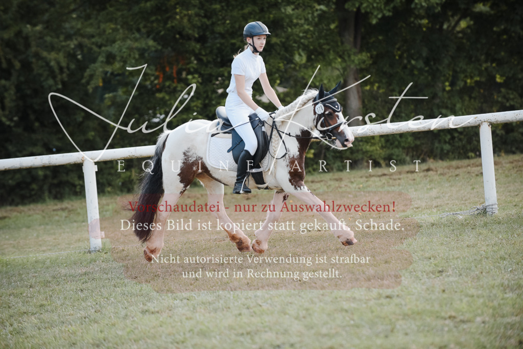 DSC_5374 | Pferde- und Turnierfotografie in Westsachsen. Pferdeportraits, Auftragszeichnungen und intuitive Kunst.