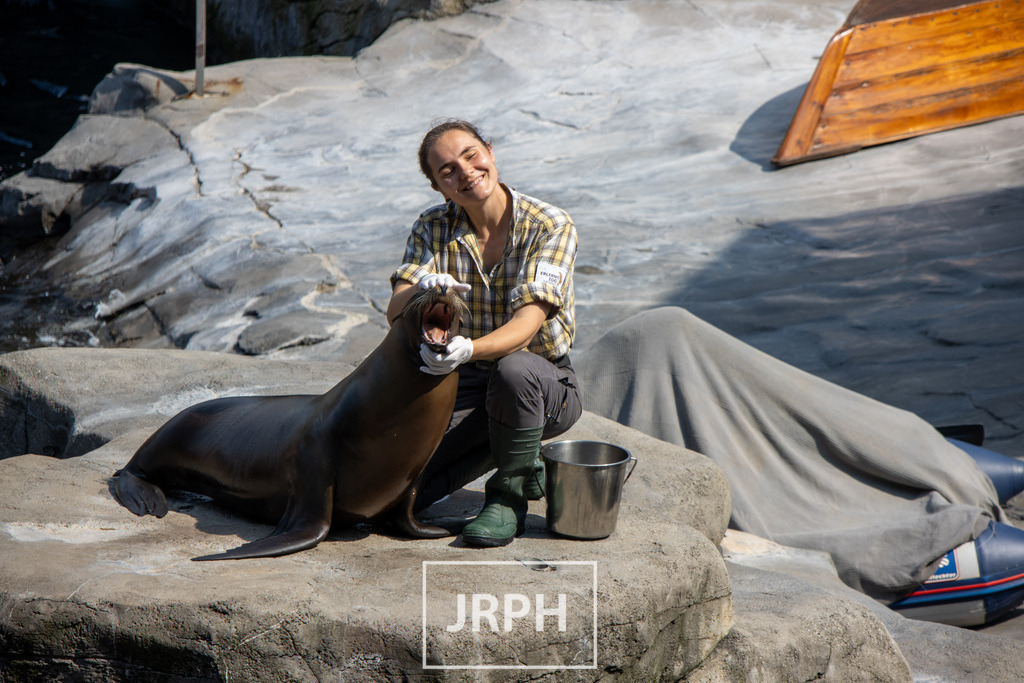 IMG_7682 | jrph - Realisiert mit Pictrs.com