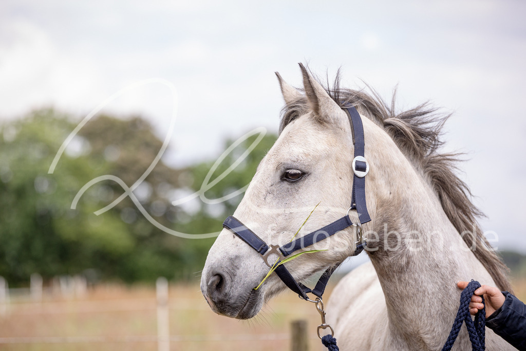 846A0865 | fotosleben - Realisiert mit Pictrs.com