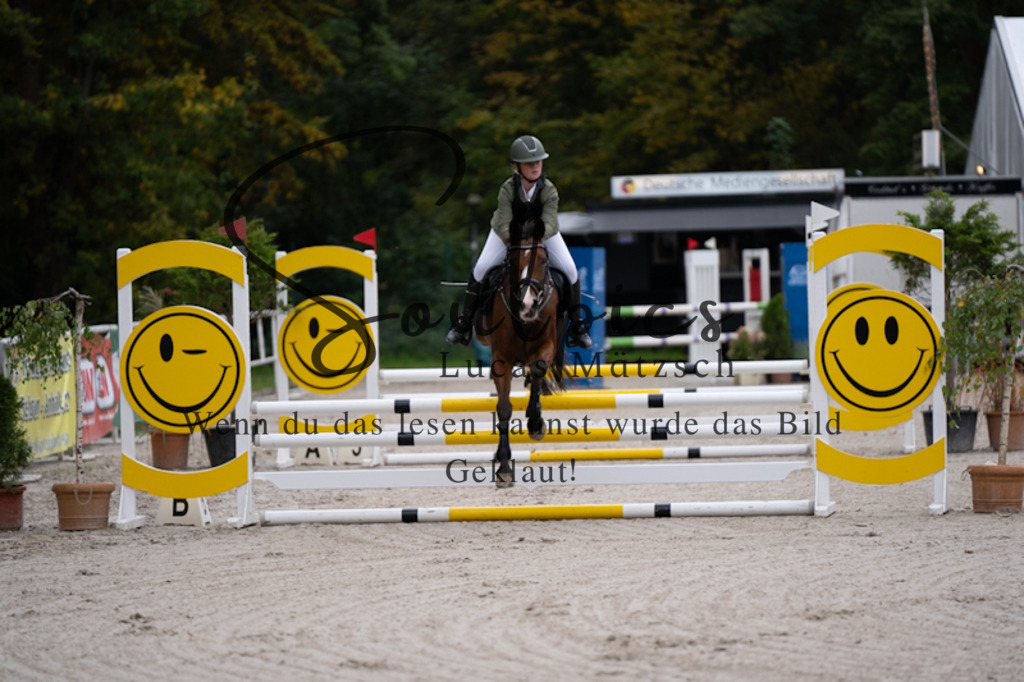 A7V09653 | Pferdefotograf