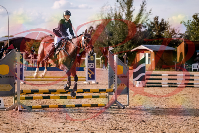 2026_10_03_Siefer-Hof_155538_Z81_74871553 | Professionelle Reitsport-, Turnier- und Eventfotografie von Robert Broda. Galerien mit ausgewählten und bearbeiteten Bildern direkt online ansehen und bestellen.