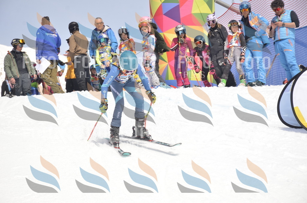 _ELE8820 | holidayphoto