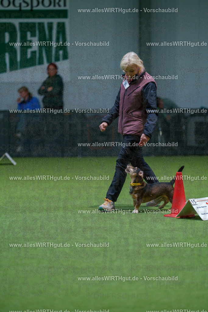 7R505897 | Professionelle Tierfotografie in Mönchengladbach von Daniel Wirth (allesWIRTHgut). Liebevolle & natürliche Bilder von Hunden & Katzen für unvergessliche Erinnerungen.