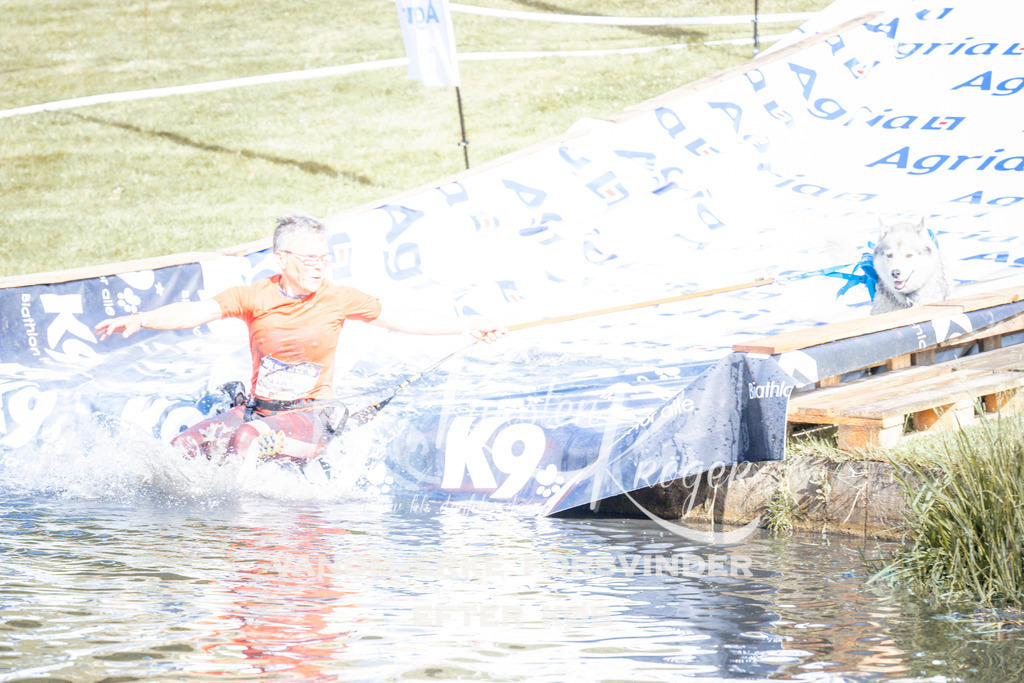 _ZZ991310820 | kk-dogfotos