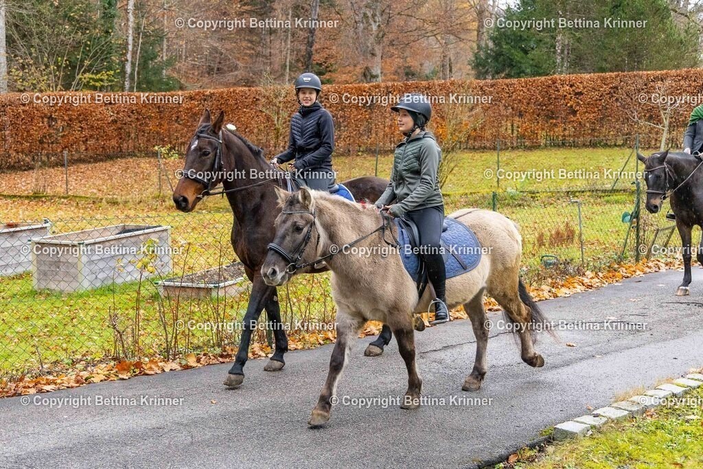 LL25-151 | foto-bettina-krinner - Realisiert mit Pictrs.com