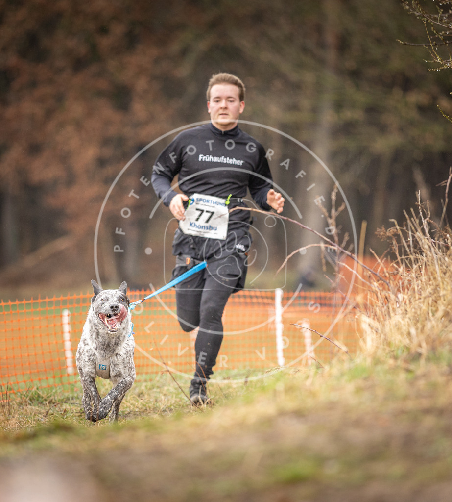 DV3A0271 | Hundefotografie, Tierfotograf, Pfotenfotografie, Fotoshooting Hund, Hunde Portrait, Hundesport, Hundeportraits, Heideshooting, Hunde, Sportfotograf, Hundefotograf, Turnierhundsport, THS,  - Realisiert mit Pictrs.com