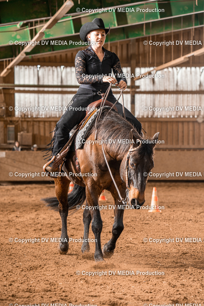 BAL00650 | dv-media-shop - Realisiert mit Pictrs.com