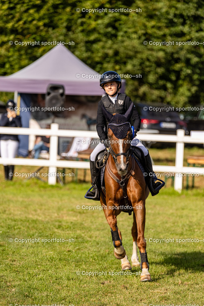 240831-VW-IS6A3419 | Sportfoto SH - Realisiert mit Pictrs.com