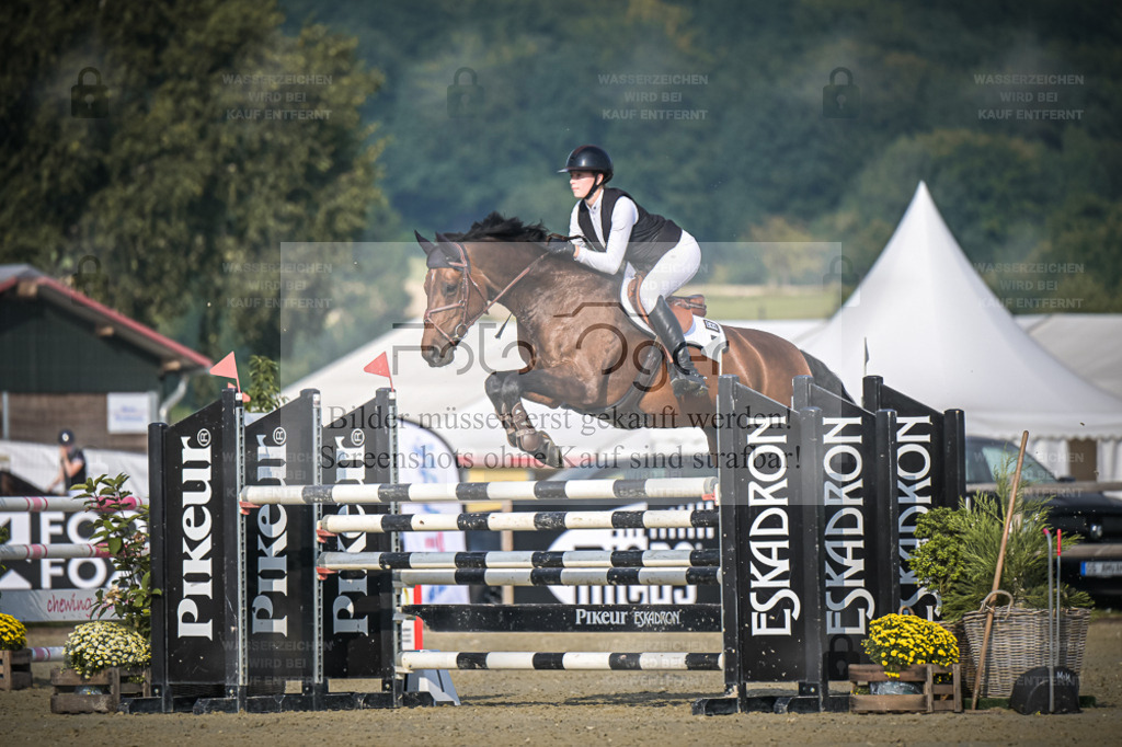 DOS_2099 | Entdecke hochwertige Reitturnierfotos von Foto Oger. Professionell, emotional und authentisch – jetzt Lieblingsmomente im Shop bestellen. - Realisiert mit Pictrs.com