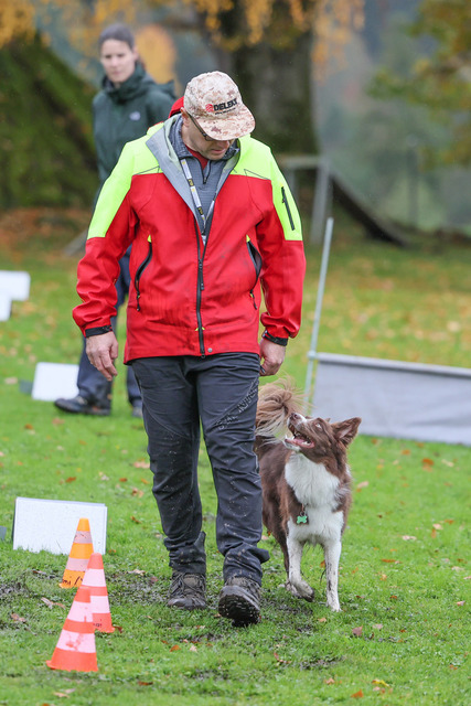 2025_Rally_Obedience_SM-78 | Ich fotografiere Hundeausstellungen, Sportanlässe, Zuchtstätten, Hundezucht, Hundeportrait, Lagotto - Realisiert mit Pictrs.com