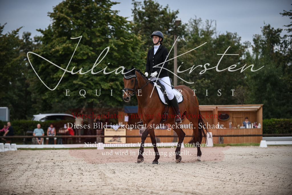 DSC_7955 | Pferde- und Turnierfotografie in Westsachsen. Pferdeportraits, Auftragszeichnungen und intuitive Kunst.