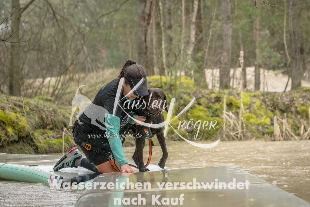 1048_ZZ93414-Bearbeitet | kk-dogfotos