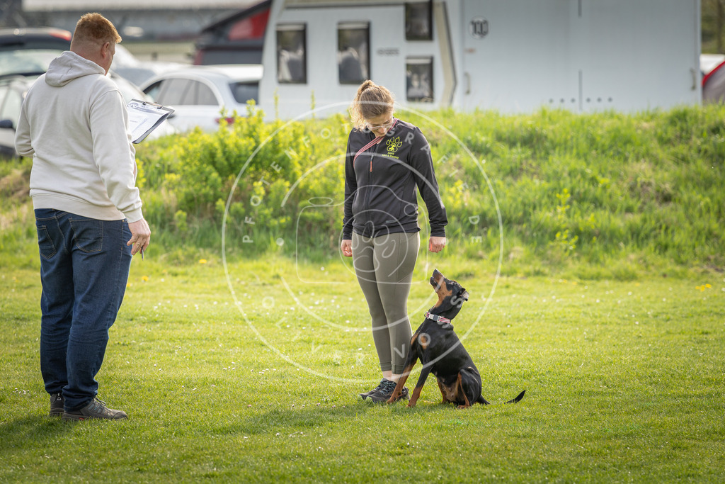 Pfotenfotografie_DV3A5001 | Hundefotografie, Tierfotograf, Pfotenfotografie, Fotoshooting Hund, Hunde Portrait, Hundesport, Hundeportraits, Heideshooting, Hunde, Sportfotograf, Hundefotograf, Turnierhundsport, THS,  - Realisiert mit Pictrs.com