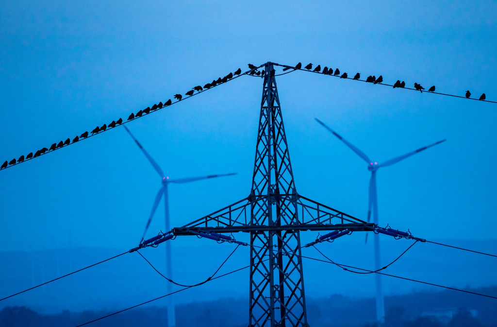 JT-201125 | Viele Vögel, Saatkrähen, sitzen nach dem Sonnenuntergang auf einer Hochspannungsleitung, Windraftwerke, Hamm, NRW, Deutschland,  - Realisiert mit Pictrs.com