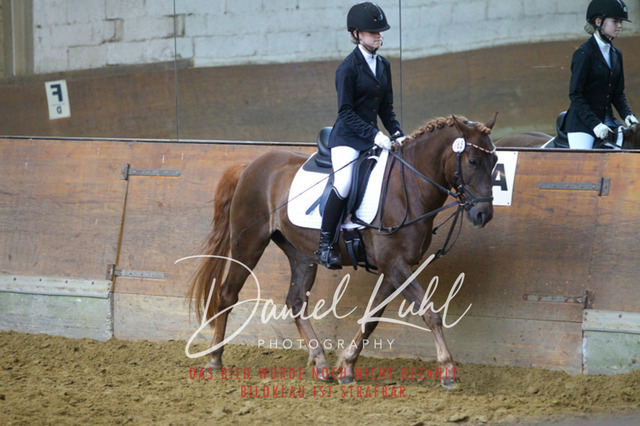 DKP44105 | Turniersportfotografie; Pferdefotografie; Dressurfotografie