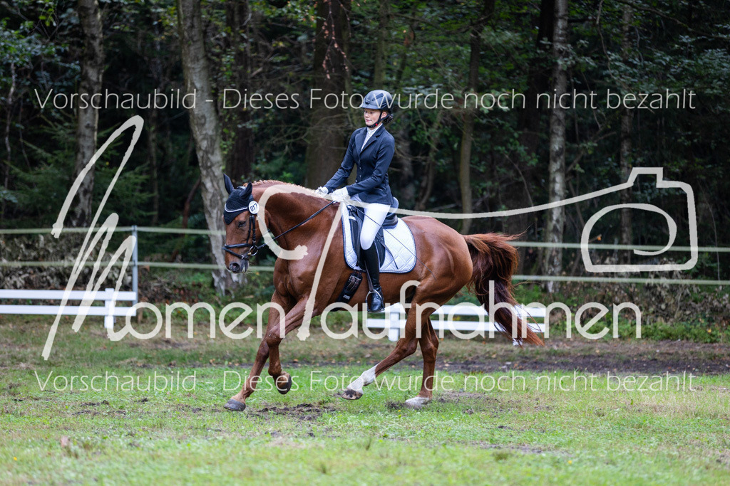 HB-A-Dressur-051 | MomenTaufnahmen Pferdesportfotos