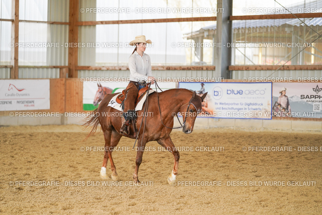 DSC01325 | Pferdegrafie