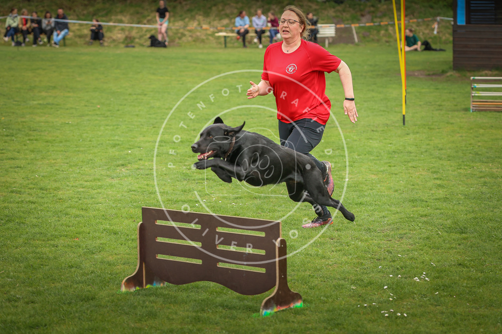 Pfotenfotografie_0L8A1078 | Hundefotografie, Tierfotograf, Pfotenfotografie, Fotoshooting Hund, Hunde Portrait, Hundesport, Hundeportraits, Heideshooting, Hunde, Sportfotograf, Hundefotograf, Turnierhundsport, THS,  - Realisiert mit Pictrs.com