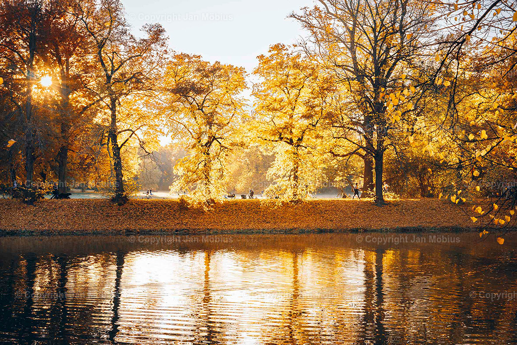 Clara Park | Der Clara-Zetkin-Park in Leipzig ist ein beliebter Ort für Natur, Sport und Erholung – perfekt für Spaziergänge, Jogging und entspannte Stunden im Grünen. - Realisiert mit Pictrs.com