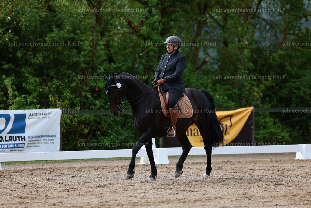 KlasseL_Stoibphotography_CAM21024.JPG | working equitationturnier fotograf videograf stoibphotography marixx film working equitation deutschland reitsport turnierfotografie eventfotografie equestrian events