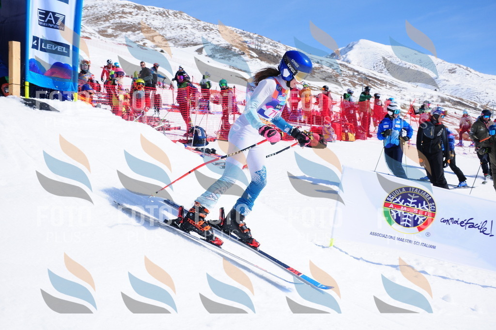 DSC_4431 | holidayphoto