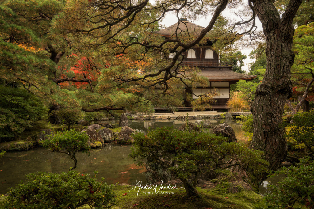 Am silbernen Tempel | Andre Wandrei - Nature Artworx - Realisiert mit Pictrs.com