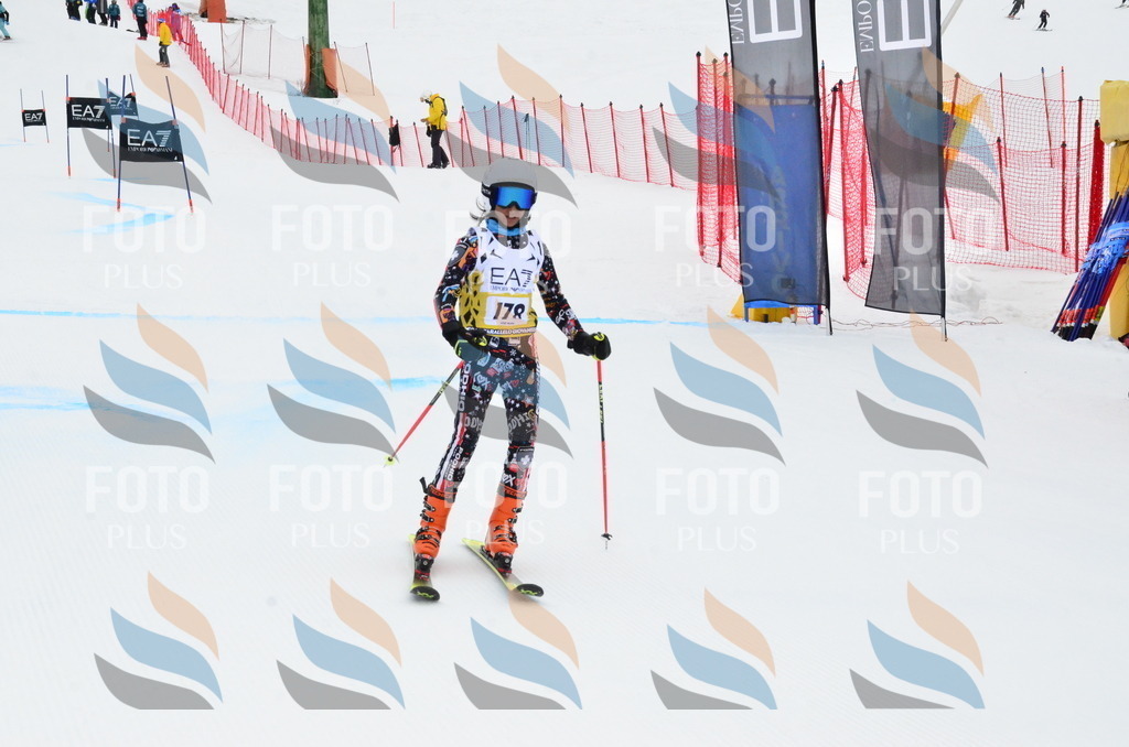 _ELE3941 | holidayphoto