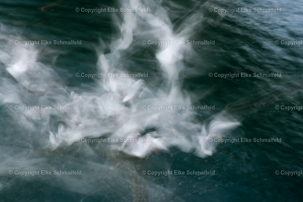 federwolken | Elke Schmalfeld - Realisiert mit Pictrs.com