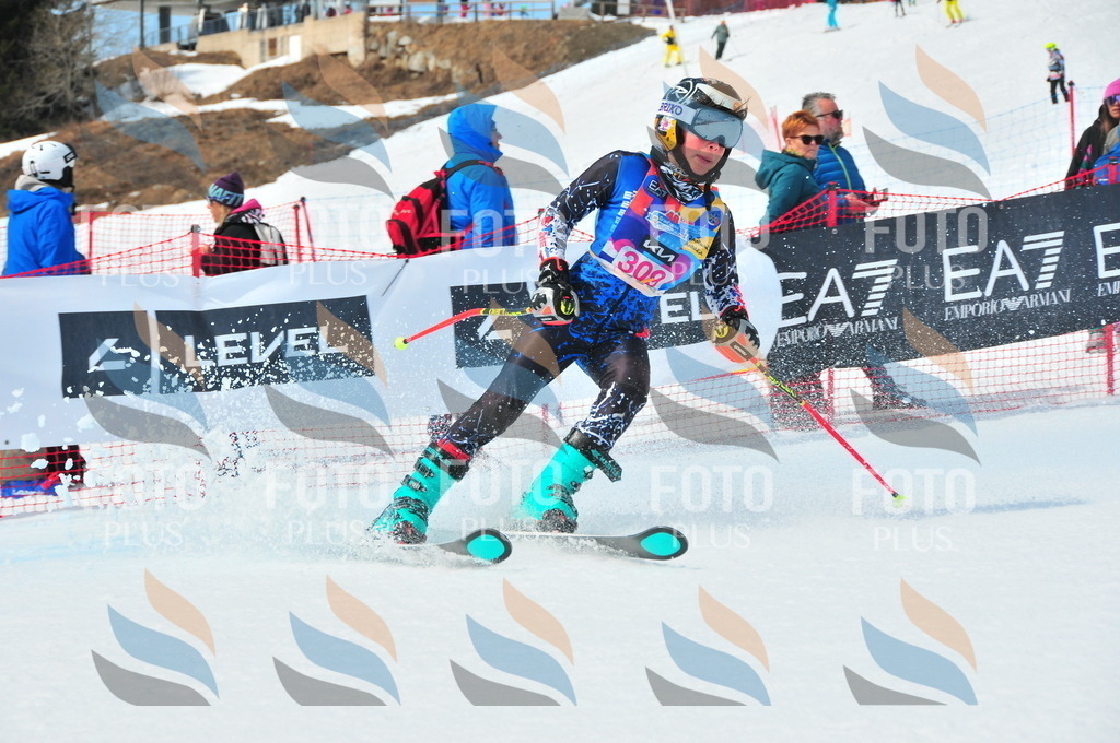 DSC_6620 | holidayphoto