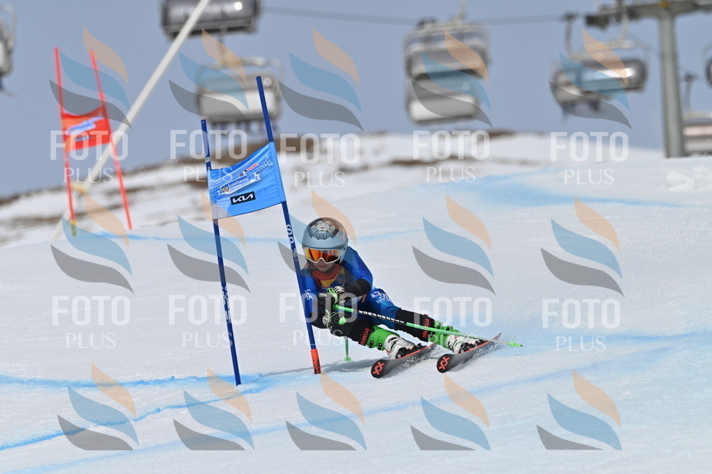 BGV_4848 | holidayphoto