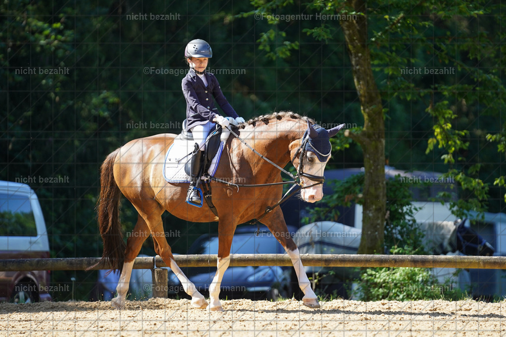 20240706-FAH04894 | Grafing Turnierfotos, Reitverein Ebersberg, Turnierfotografen Bayern, reitsportbilder, Pferdefotograf, reitsportfotograf, Sportbilder, Reitsportfotografie, Fotoagentur Herrmann, Turnierfotograf