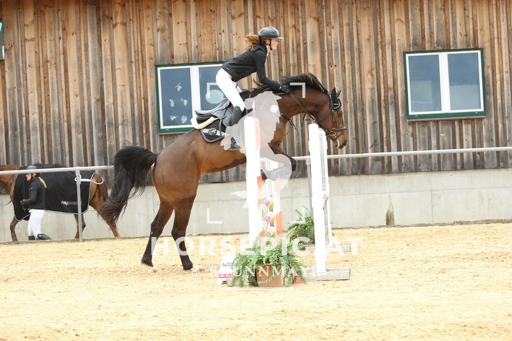 DL2Q2098 | Willkommen bei Brunnmayr - Design & Fotografie – Ihrem Spezialisten für Reitturniere und Pferdeveranstaltungen in Oberösterreich, Salzburg und Bayern! Seit über 17 Jahren sind wir leidenschaftlich dabei.