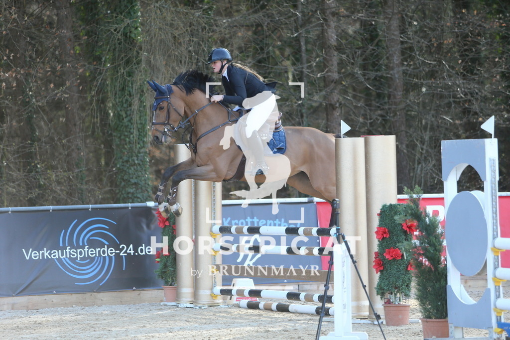 DL2Q4054 | Willkommen bei Brunnmayr - Design & Fotografie – Ihrem Spezialisten für Reitturniere und Pferdeveranstaltungen in Oberösterreich, Salzburg und Bayern! Seit über 17 Jahren sind wir leidenschaftlich dabei.