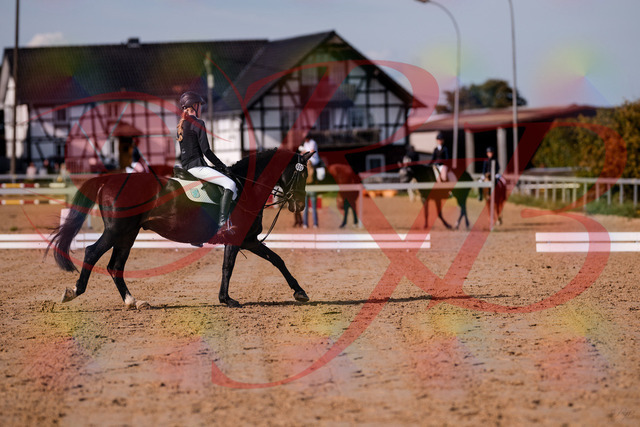 2026_10_03_Siefer-Hof_115615_Z81_96601802 | Professionelle Reitsport-, Turnier- und Eventfotografie von Robert Broda. Galerien mit ausgewählten und bearbeiteten Bildern direkt online ansehen und bestellen.