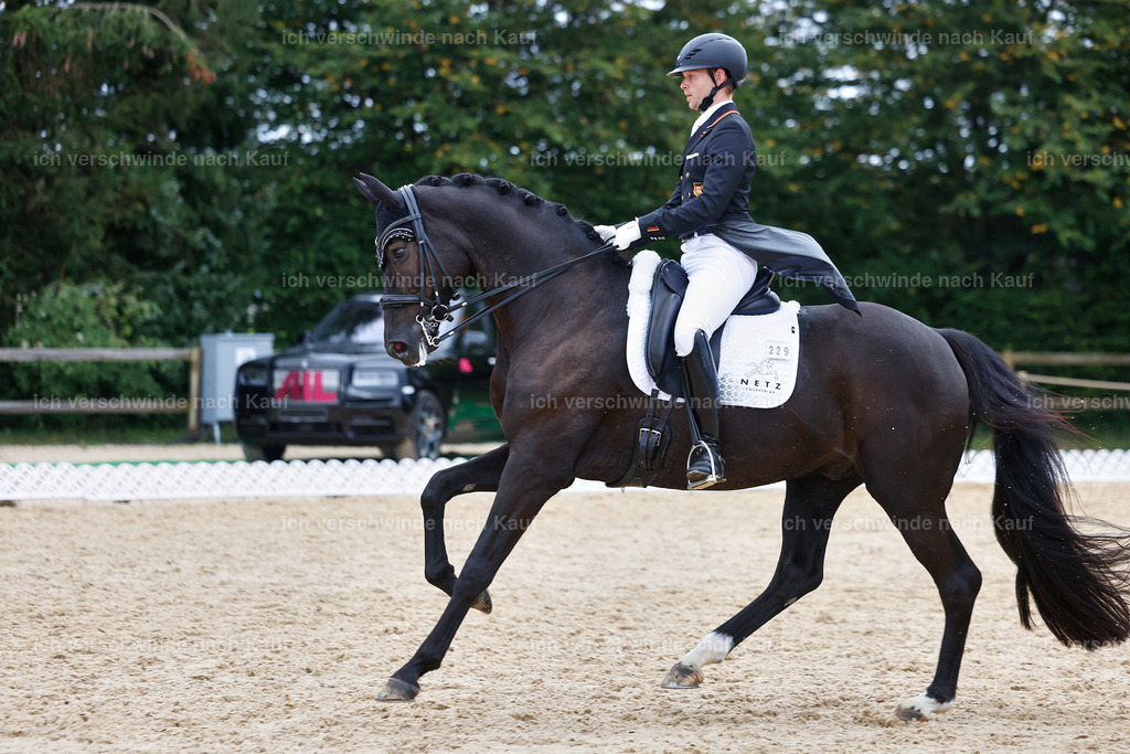 12-229-DRESSUR  S___  -StoibPH-5336 | working equitationturnier fotograf videograf stoibphotography marixx film working equitation deutschland reitsport turnierfotografie eventfotografie equestrian events