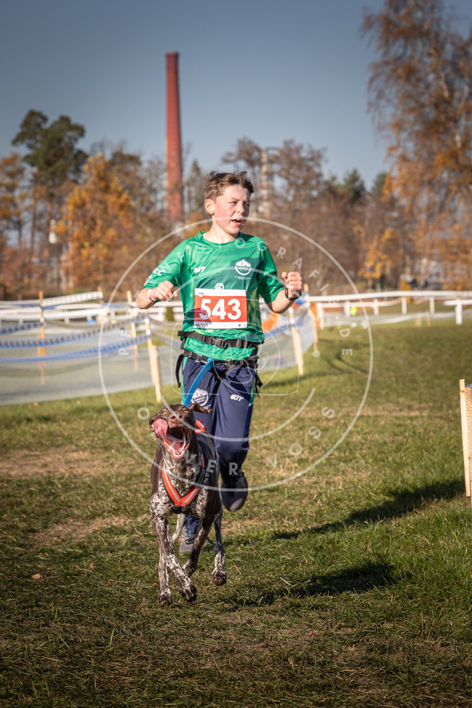 CaniXpix_0L8A7568 | Hundefotografie, Tierfotograf, Pfotenfotografie, Fotoshooting Hund, Hunde Portrait, Hundesport, Hundeportraits, Heideshooting, Hunde, Sportfotograf, Hundefotograf, Turnierhundsport, THS,  - Realisiert mit Pictrs.com